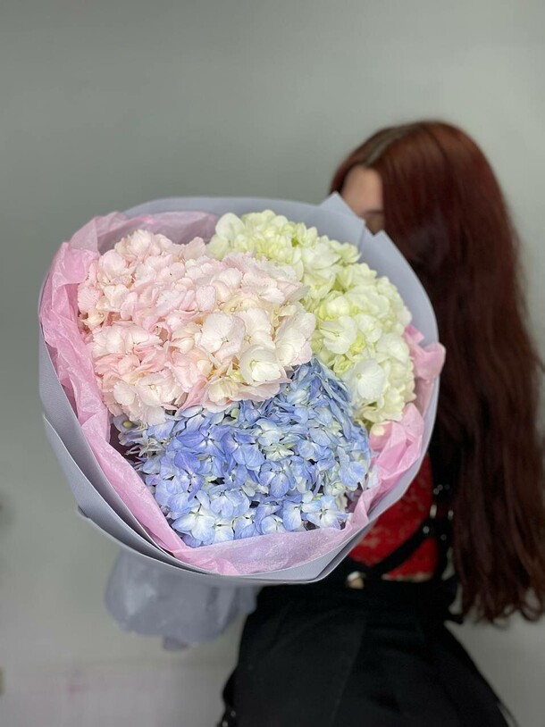 Трио гортензий, артикул F1410044 - 4500 рублей, доставка по городу. Flawery - доставка цветов