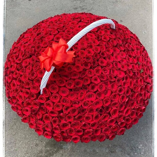 551 роза, артикул F1077148 - 109999 рублей, доставка по городу. Flawery - доставка цветов