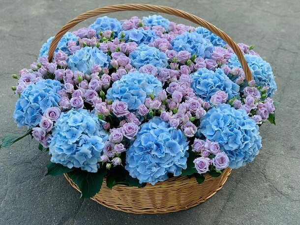 Свет настроение синий, артикул F1144521 - 87999 рублей, доставка по городу. Flawery - доставка цветов