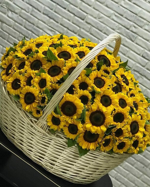 Подсолнух 🌻, артикул F1147860 - 165000 рублей, доставка по городу. Flawery - доставка цветов