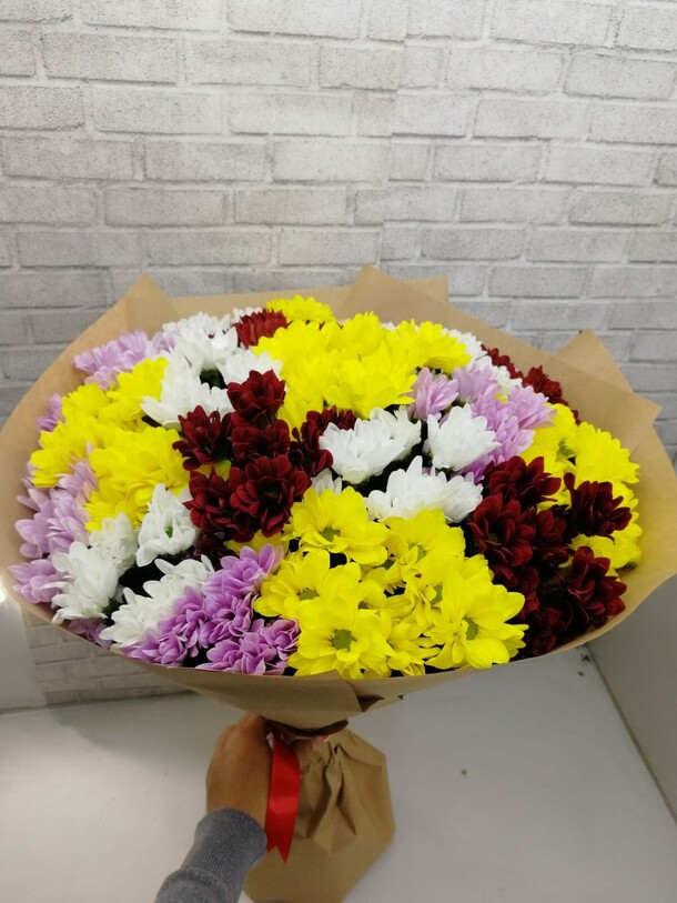 Хризантема кустовая, артикул F1153551 - 6775 рублей, доставка по городу. Flawery - доставка цветов