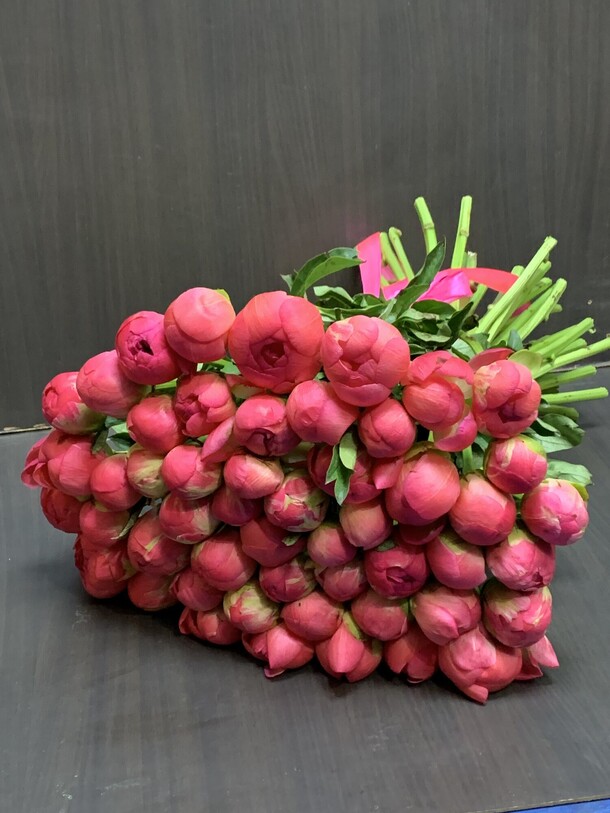 Пионы коралловые, артикул F1334061 - 54999 рублей, доставка по городу. Flawery - доставка цветов