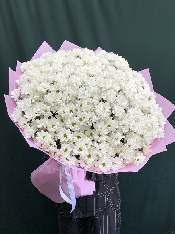 Ромашковая кустовая хризантема, артикул F1443643 - 21779 рублей, доставка по городу. Flawery - доставка цветов