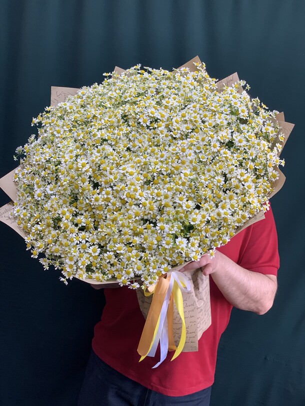 Ромашка кустовая 51, артикул F1457628 - 15971 рублей, доставка по городу. Flawery - доставка цветов