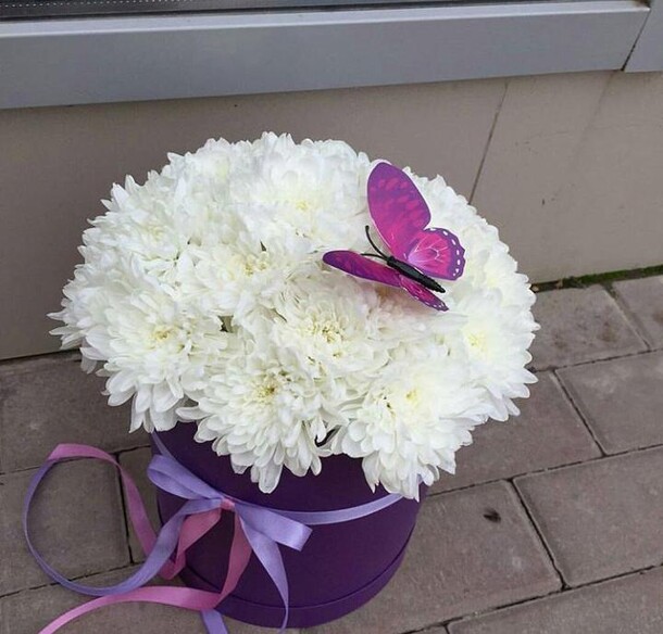 Хризантема в коробке, артикул F17946 - 5499 рублей, доставка по городу. Flawery - доставка цветов