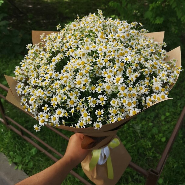 "скромница и красавица", артикул F18124 - 7259 рублей, доставка по городу. Flawery - доставка цветов