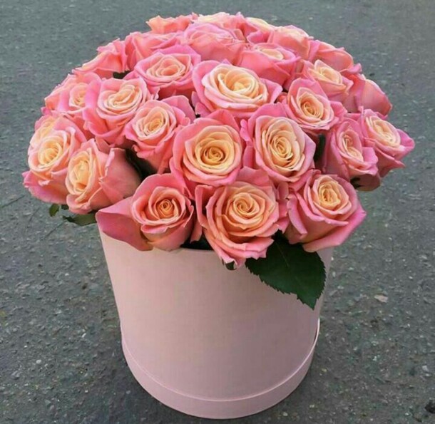 Мисс-пигги в коробке, артикул F18135 - 10647 рублей, доставка по городу. Flawery - доставка цветов