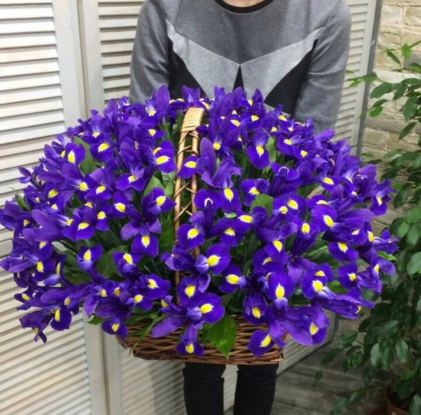 Корзина с ирисами, артикул F18138 - 20496 рублей, доставка по городу. Flawery - доставка цветов