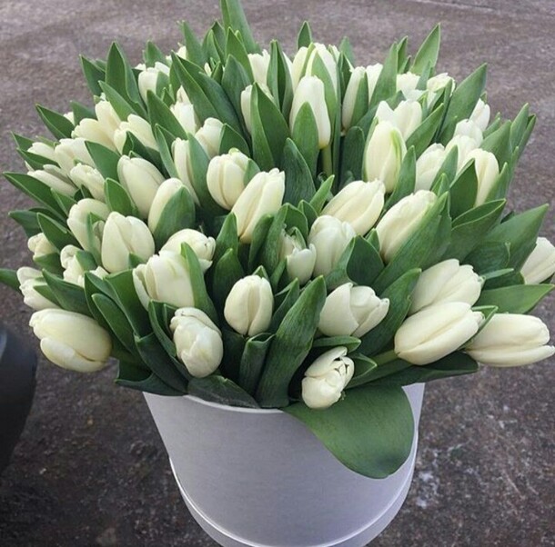 Коробка с тюльпанами, артикул F18751 - 26619 рублей, доставка по городу. Flawery - доставка цветов