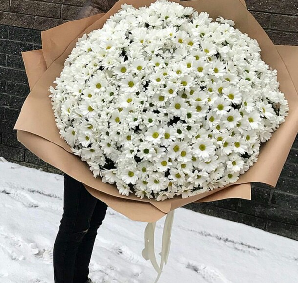 Снежная королева, артикул F19230 - 13793 рублей, доставка по городу. Flawery - доставка цветов