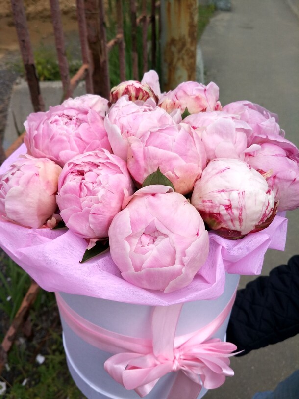 Коробка с пионов, артикул F20195 - 16939 рублей, доставка по городу. Flawery - доставка цветов