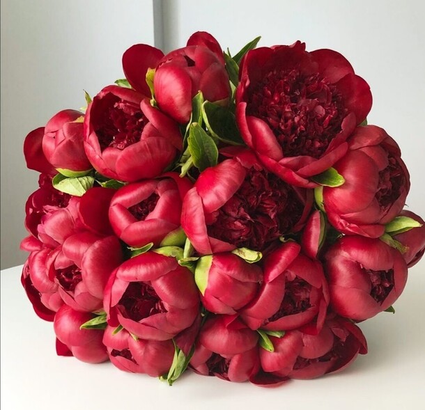 Бордовые пионы, артикул F79017 - 29151 рублей, доставка по городу. Flawery - доставка цветов