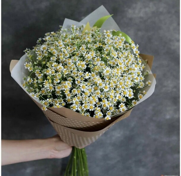 Букет из матриакария, артикул F1406742 - 7199 рублей, доставка по городу. Flawery - доставка цветов