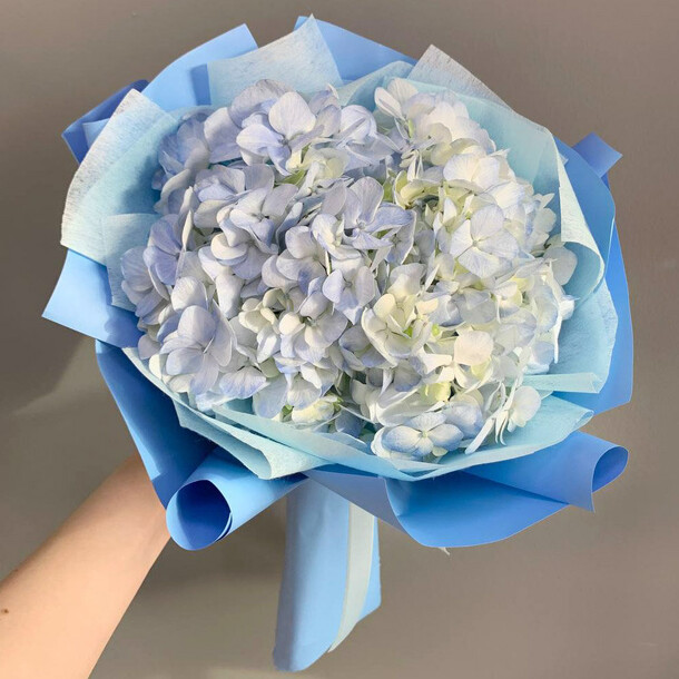 Голубая гортензия | мини букет- комплимент, артикул F1401800 - 1850 рублей, доставка по городу. Flawery - доставка цветов