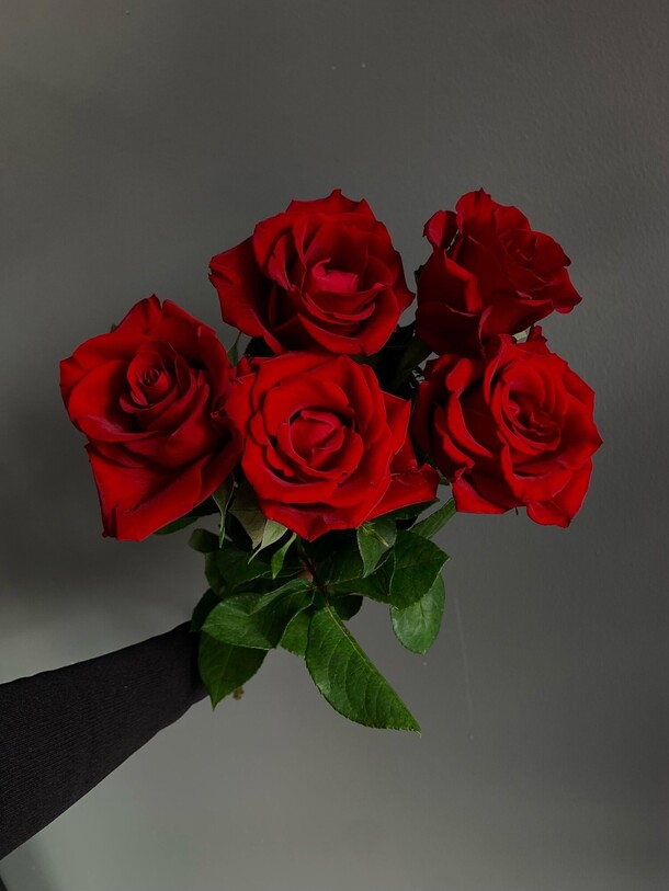 5 красных роз 60 см, артикул F1402193 - 2950 рублей, доставка по городу. Flawery - доставка цветов