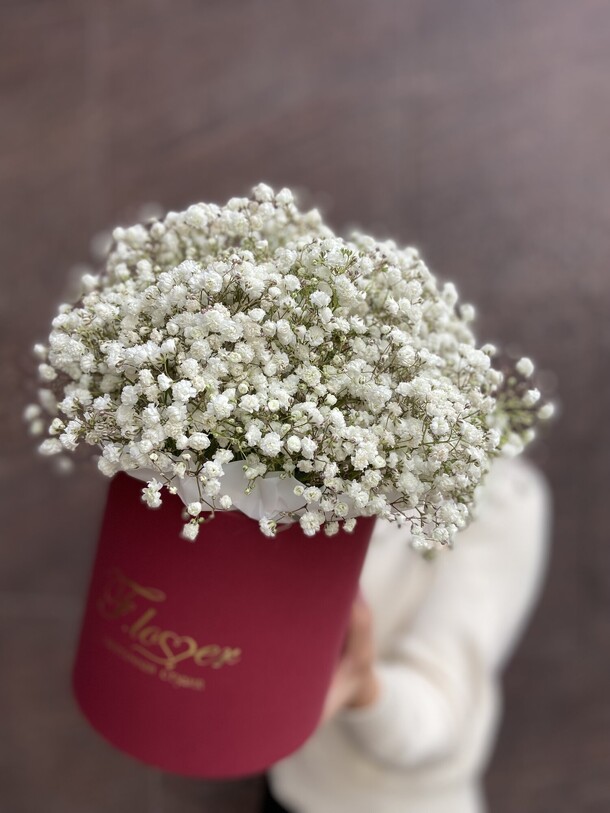 Цветы в коробке "белое облачко" (гипсофила), артикул F1415265 - 6828 рублей, доставка по городу. Flawery - доставка цветов