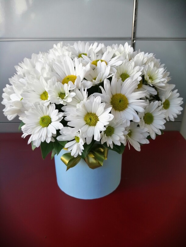 Коробочка ромашковое поле, артикул F57430 - 1950 рублей, доставка по городу. Flawery - доставка цветов