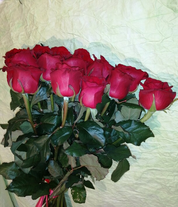 Алые розы 11 шт, артикул F77102 - 4250 рублей, доставка по городу. Flawery - доставка цветов