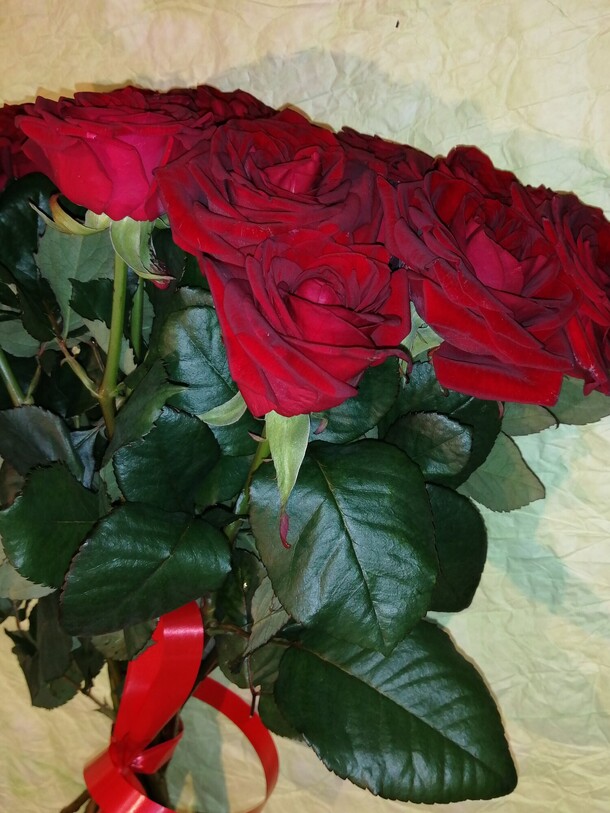 Классика 11 роз бордо, артикул F77218 - 4250 рублей, доставка по городу. Flawery - доставка цветов