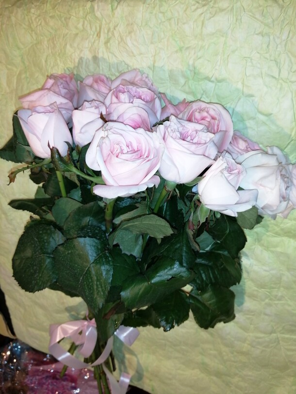 Розовые розы 11 шт, артикул F77220 - 4250 рублей, доставка по городу. Flawery - доставка цветов