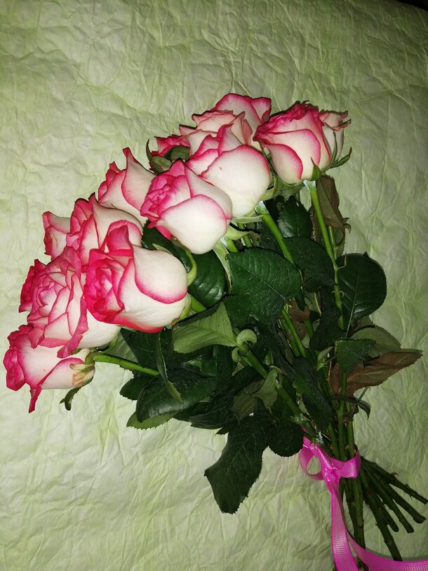 Джумилия 9 шт, артикул F77224 - 3600 рублей, доставка по городу. Flawery - доставка цветов