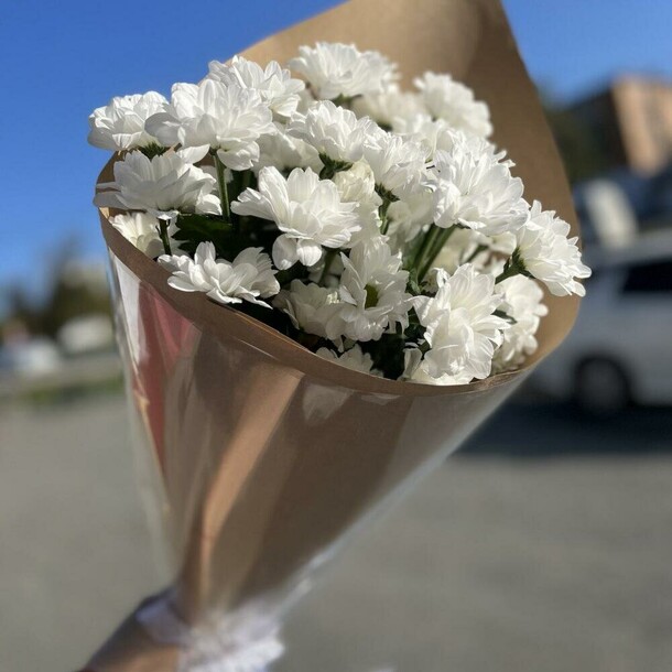 Ромашки, артикул F1265465 - 2200 рублей, доставка по городу. Flawery - доставка цветов