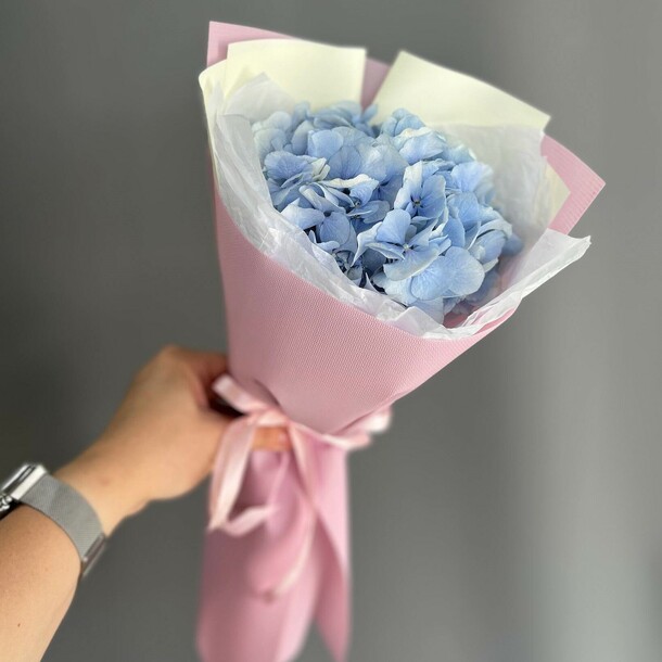 Hydrangea blue, артикул F1453578 - 2350 рублей, доставка по городу. Flawery - доставка цветов