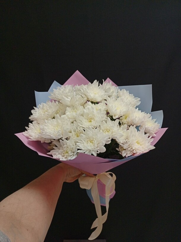 Хризантема кустовая, артикул F1408248 - 2700 рублей, доставка по городу. Flawery - доставка цветов