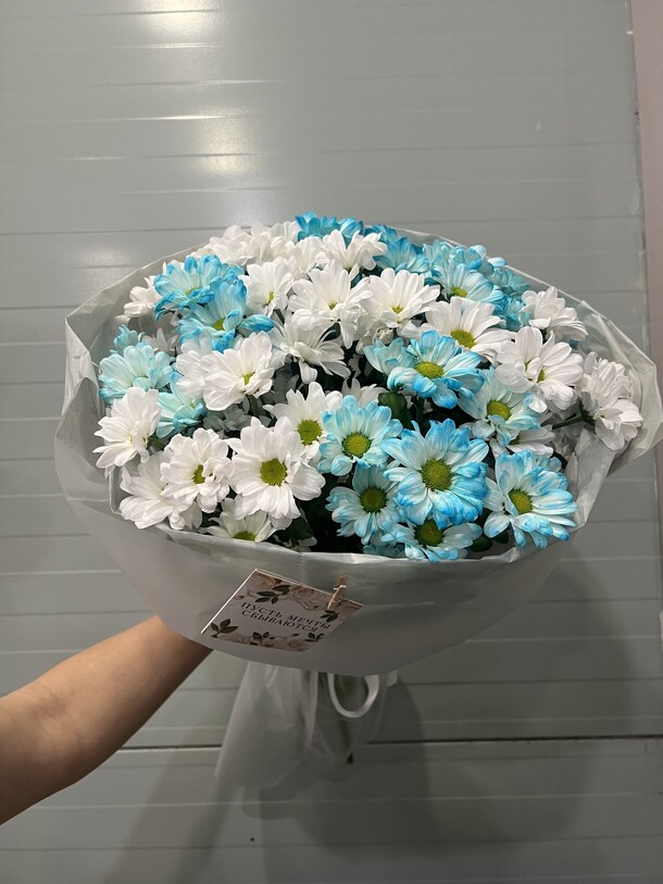 Хризантема ромашка аква, артикул F1413420 - 3347 рублей, доставка по городу. Flawery - доставка цветов