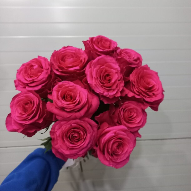 Роза, артикул F1413457 - 4500 рублей, доставка по городу. Flawery - доставка цветов