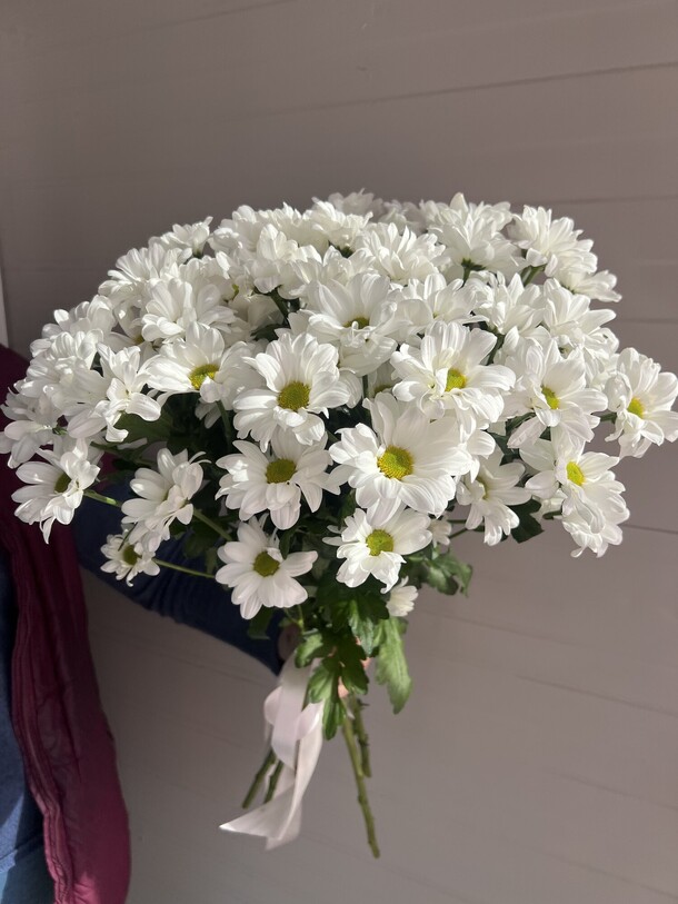 Хризантема ромашка, артикул F1413465 - 3039 рублей, доставка по городу. Flawery - доставка цветов