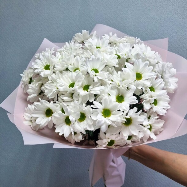 Пышный букет из 7 белых кустовых ромашковых хризантем, артикул F1179647 - 5842 рублей, доставка по городу. Flawery - доставка цветов