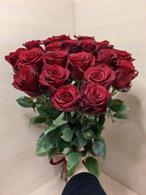 Роза эксплорер х 19, артикул F1414984 - 6700 рублей, доставка по городу. Flawery - доставка цветов