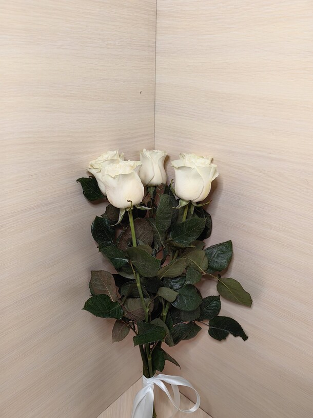 Роза белая 5 штук, артикул F1415207 - 1450 рублей, доставка по городу. Flawery - доставка цветов