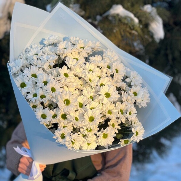 Букет "ромашковое поле" увеличенный, артикул F1095296 - 7273 рублей, доставка по городу. Flawery - доставка цветов