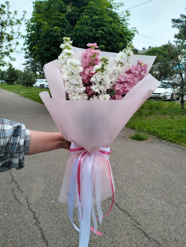 Маттиолка, артикул F1420800 - 2100 рублей, доставка по городу. Flawery - доставка цветов