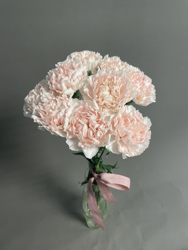 Букет из нежных гвоздик, артикул F1196532 - 3200 рублей, доставка по городу. Flawery - доставка цветов