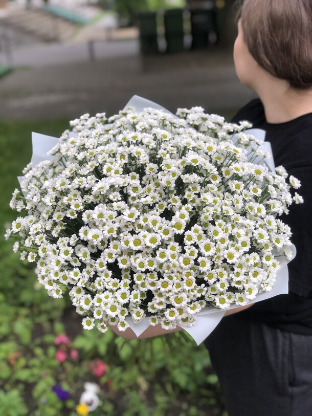 Охапка ромашек, артикул F1200676 - 5350 рублей, доставка по городу. Flawery - доставка цветов