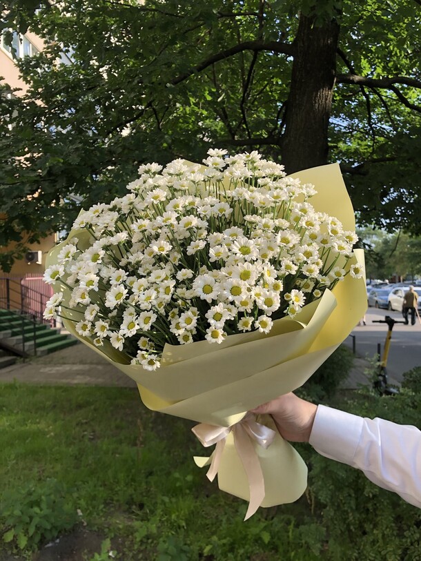 Солнечные ромашки, артикул F1201455 - 3850 рублей, доставка по городу. Flawery - доставка цветов