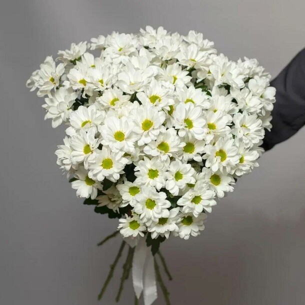 Букет из ромашковых хризантем, артикул F1436970 - 3819 рублей, доставка по городу. Flawery - доставка цветов