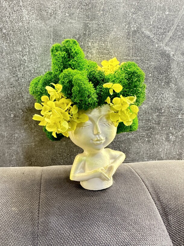 Зеленая композиция из стабилизированного мха, артикул F1492097 - 2400 рублей, доставка по городу. Flawery - доставка цветов