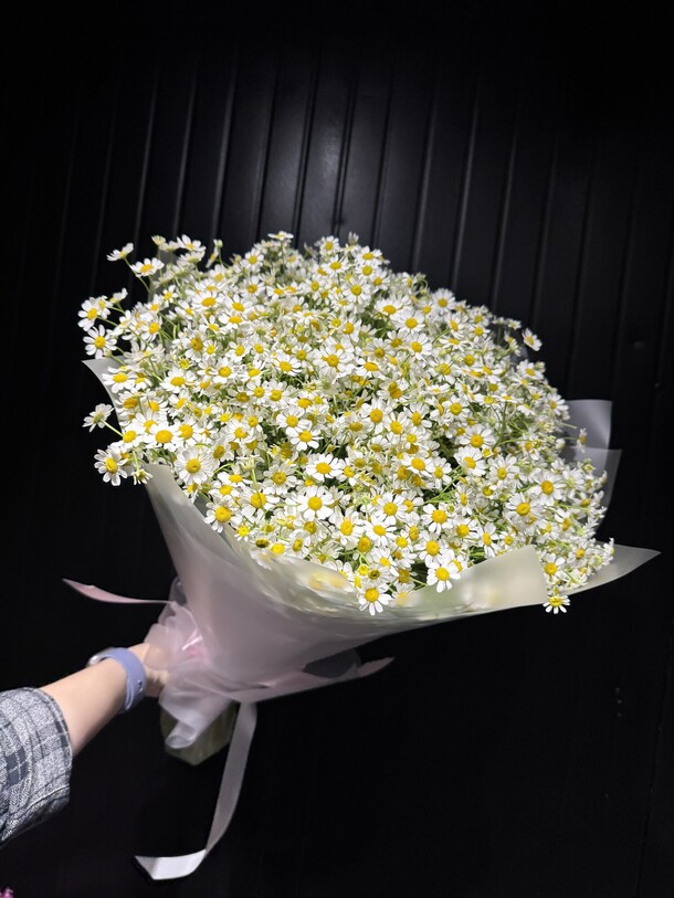 Ромашки кустовые, артикул F1426494 - 9850 рублей, доставка по городу. Flawery - доставка цветов