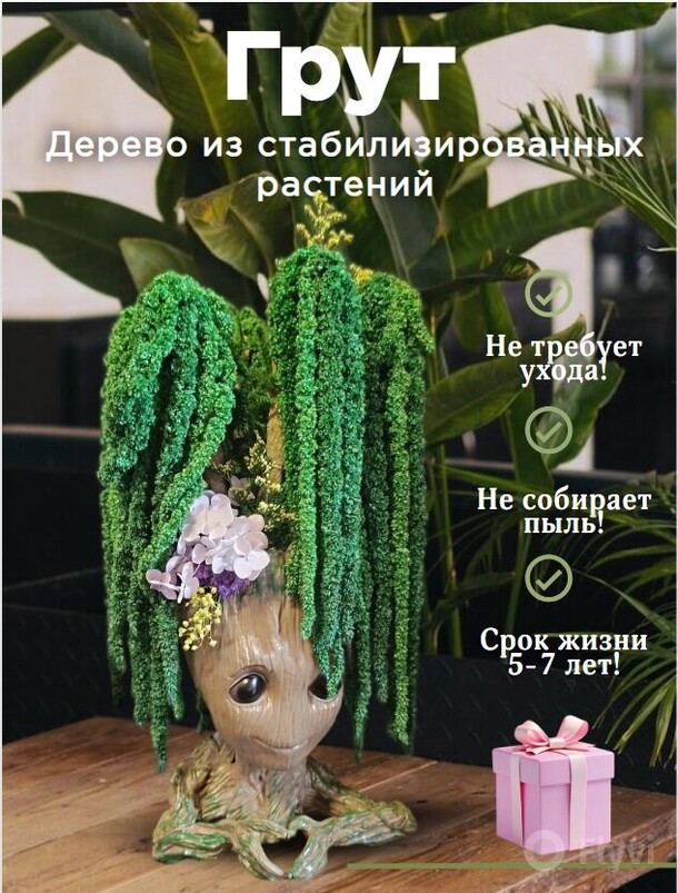 Кашпо грут с деревом из амаранта, артикул F1436671 - 4500 рублей, доставка по городу. Flawery - доставка цветов