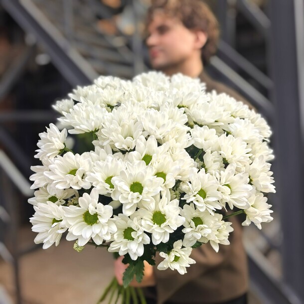 Белая хризантема chic, 11 шт, артикул F1467697 - 5270 рублей, доставка по городу. Flawery - доставка цветов