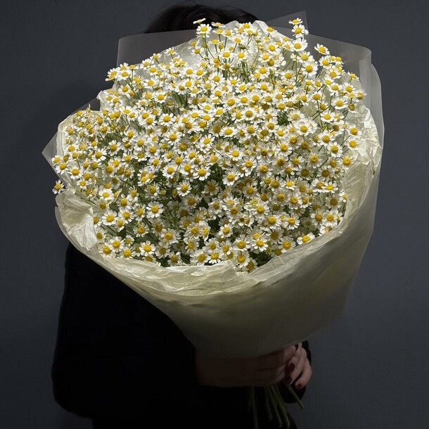 Букет из ромашек, артикул F1452095 - 4500 рублей, доставка по городу. Flawery - доставка цветов