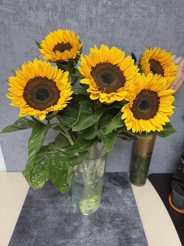 Композиция из пяти подсолнухов, артикул F1449148 - 3500 рублей, доставка по городу. Flawery - доставка цветов