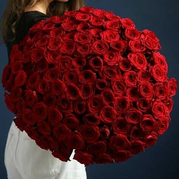 101 роза explorer, артикул F1450384 - 43999 рублей, доставка по городу. Flawery - доставка цветов