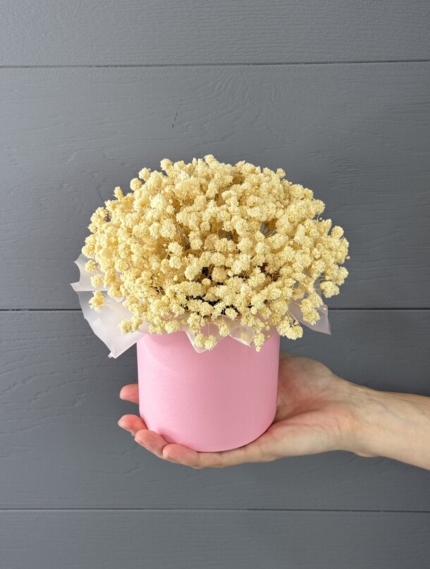 Композиция из стабилизированной гипсофилы «пломбир», артикул F1522670 - 1016 рублей, доставка по городу. Flawery - доставка цветов