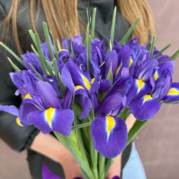 Ирисы, артикул F1329090 - 4126 рублей, доставка по городу. Flawery - доставка цветов