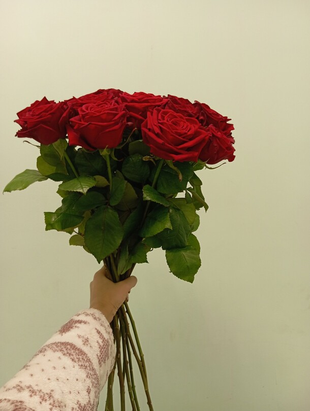 19 красных роз 60см, артикул F1368025 - 5058 рублей, доставка по городу. Flawery - доставка цветов